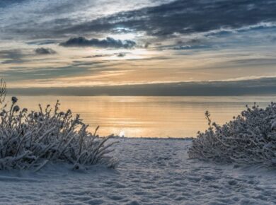 Hot Summers And Chilly Winters By The Sea: How To Take Care Of Your Property in Long Island