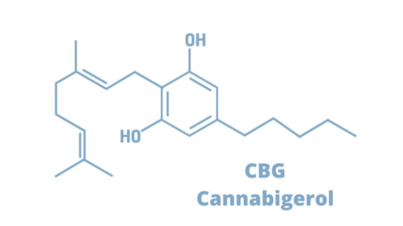 What Is Cannabigerol, And How Beneficial Is It?