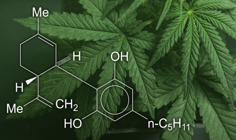 Vital Things to Know about hemp, Before You Use It