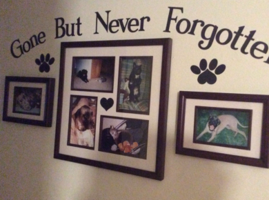 Amazing Pet Memorial Ideas