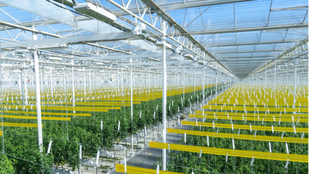 Recent News From AppHarvest, the AI-Powered Greenhouse Growing Company