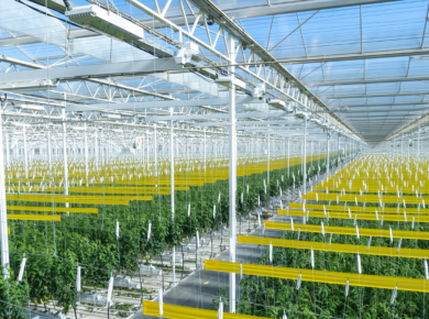 Recent News From AppHarvest, the AI-Powered Greenhouse Growing Company