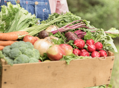 6 Factors that Will Help You in Setting Up an Organic Farm