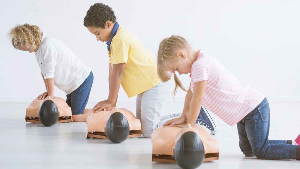 Summary of Lay Rescuer CPR Course