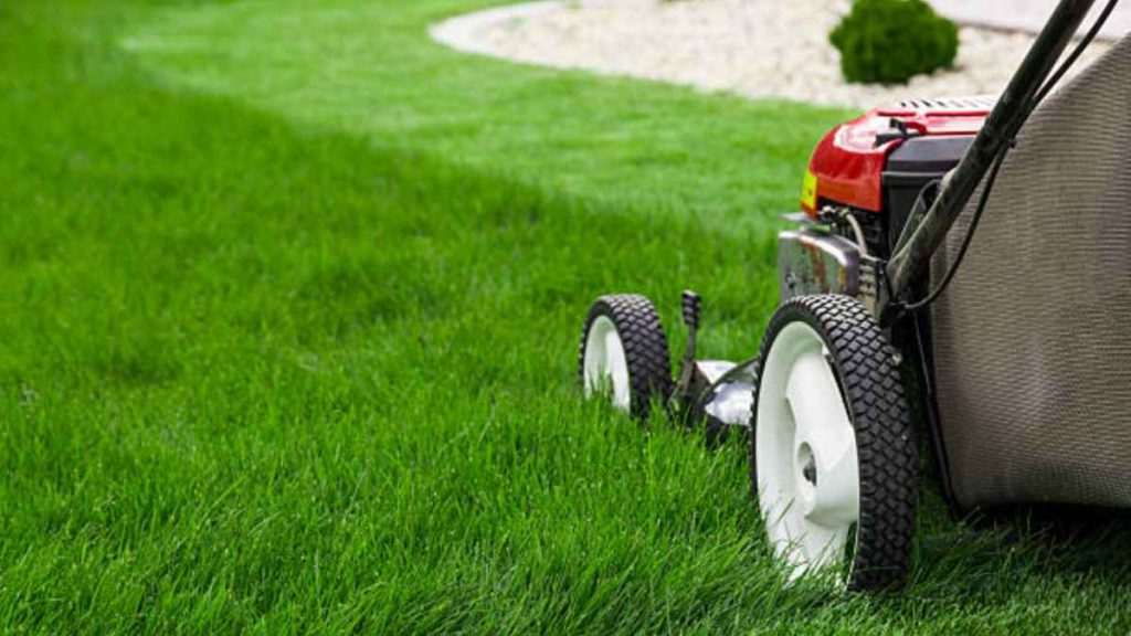 The Science Behind a Beautiful Lawn Understanding the Essentials of Lawn Care