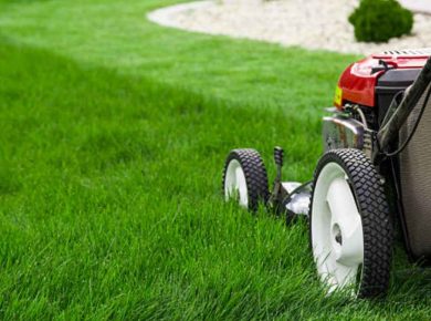 The Science Behind a Beautiful Lawn Understanding the Essentials of Lawn Care