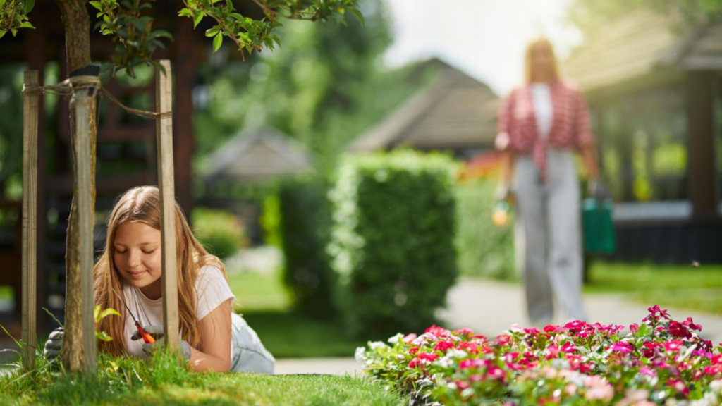 Boring Yard? Here Are the Best Ways to Spruce It Up