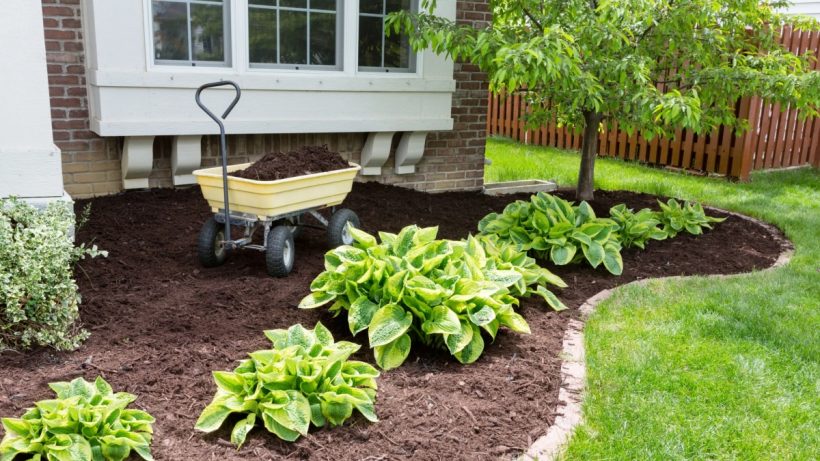 Mulching The Best Way to Maintain Your Property