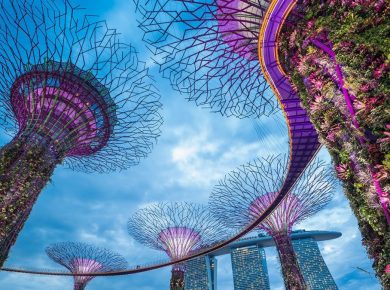 Why Choose an MBA in Singapore over Other Global Destinations?