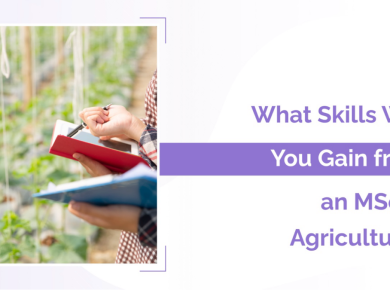 What Skills Will You Gain from an MSc in Agriculture?