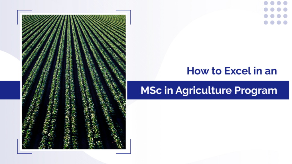 How to Excel in an MSc in Agriculture Program