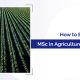 How to Excel in an MSc in Agriculture Program