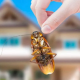 6 Pointers that Let You Know What to Expect From a Pest Control Service