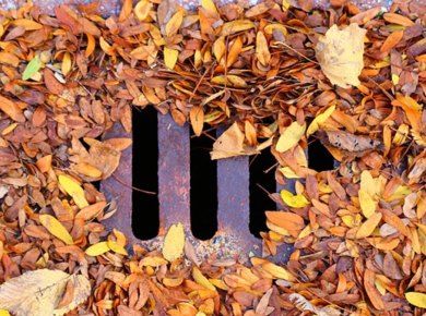 5 Reasons Why It’s Essential to Keep Your Stormwater Drainage System Maintained