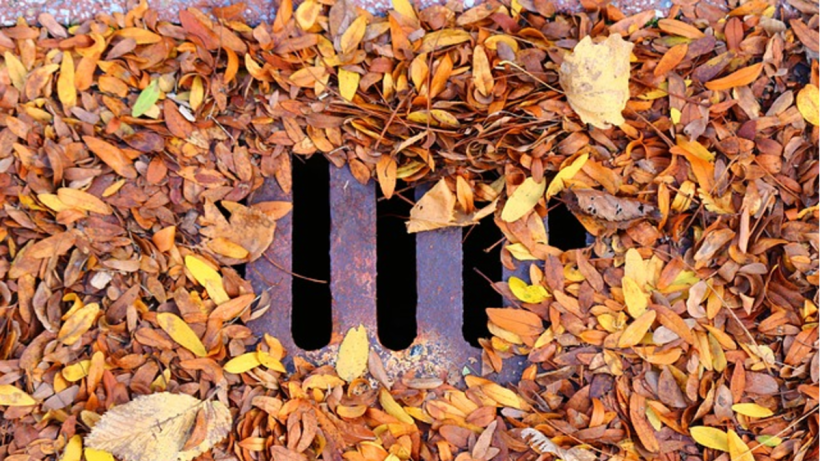5 Reasons Why It’s Essential to Keep Your Stormwater Drainage System Maintained