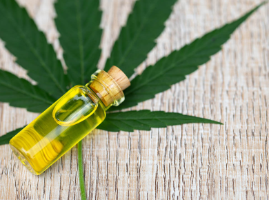 CBD in 2025-2026 Where Wellness Is Heading