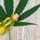 CBD in 2025-2026 Where Wellness Is Heading