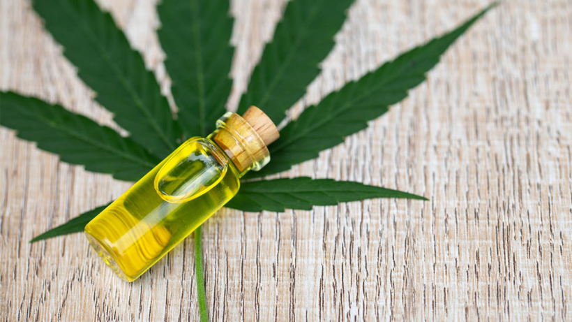 CBD in 2025-2026 Where Wellness Is Heading