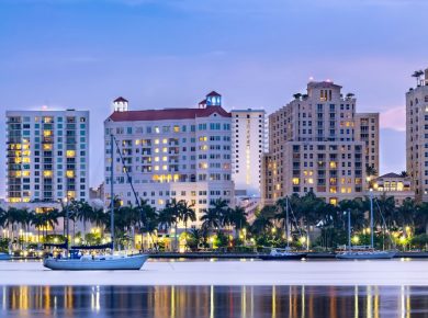 Image 1 of Removing Mold in West Palm Beach: Why Residents Pick Mold Only for Remediation Services